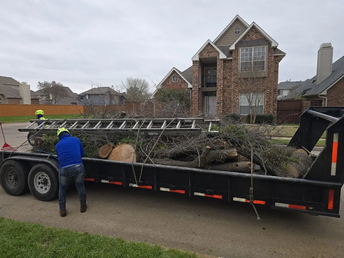 Expert Tree Fertilization with proper safety equipment in Pitman